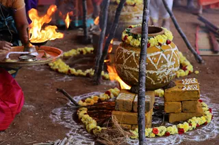 http://nithyananda.org/sites/default/files/photo-gallery/2018-01-Jan-14-nithyananda-diary_tiruvannamalai-aadheenam_pongal-celebrations_7T7A9231.jpg