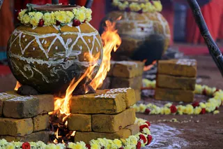 http://nithyananda.org/sites/default/files/photo-gallery/2018-01-Jan-14-nithyananda-diary_tiruvannamalai-aadheenam_pongal-celebrations_7T7A9234.jpg