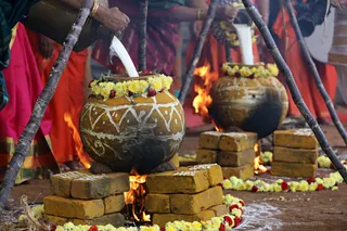 http://nithyananda.org/sites/default/files/photo-gallery/2018-01-Jan-14-nithyananda-diary_tiruvannamalai-aadheenam_pongal-celebrations_7T7A9238.jpg