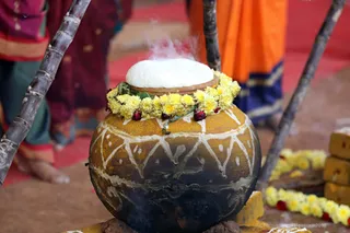 http://nithyananda.org/sites/default/files/photo-gallery/2018-01-Jan-14-nithyananda-diary_tiruvannamalai-aadheenam_pongal-celebrations_7T7A9335.jpg