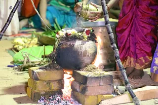 http://nithyananda.org/sites/default/files/photo-gallery/2018-01-Jan-15-nithyananda-diary_bengaluru-aadheenam_mattu-pongal-celebrations_7T7A0055.jpg