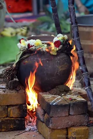 http://nithyananda.org/sites/default/files/photo-gallery/2018-01-Jan-15-nithyananda-diary_bengaluru-aadheenam_mattu-pongal-celebrations_7T7A9982.jpg