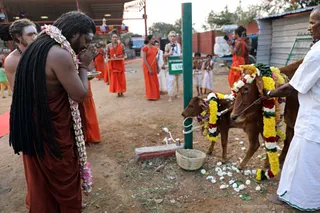 http://nithyananda.org/sites/default/files/photo-gallery/2018-01-Jan-15-nithyananda-diary_bengaluru-aadheenam_mattu-pongal-celebrations_7T9A0140.jpg