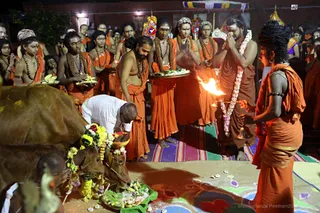 http://nithyananda.org/sites/default/files/photo-gallery/2018-01-Jan-15-nithyananda-diary_bengaluru-aadheenam_mattu-pongal-celebrations_7T9A0342.jpg