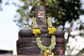 http://nithyananda.org/sites/default/files/photo-gallery/2018-01-Jan-17-nithyananda-diary_bengaluru-aadheenam_aadheenavasis-thiruvannamalai-trip_7T7A0227.jpg