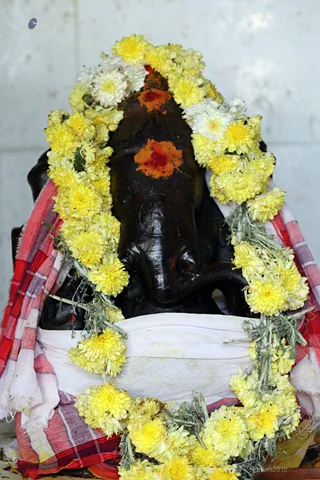 http://nithyananda.org/sites/default/files/photo-gallery/2018-01-Jan-17-nithyananda-diary_bengaluru-aadheenam_aadheenavasis-thiruvannamalai-trip_7T7A0234.jpg