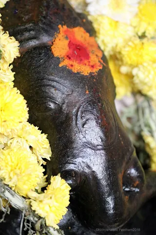 http://nithyananda.org/sites/default/files/photo-gallery/2018-01-Jan-17-nithyananda-diary_bengaluru-aadheenam_aadheenavasis-thiruvannamalai-trip_7T7A0235.jpg