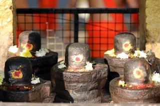 http://nithyananda.org/sites/default/files/photo-gallery/2018-01-Jan-17-nithyananda-diary_bengaluru-aadheenam_aadheenavasis-thiruvannamalai-trip_7T7A0242.jpg