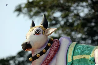 http://nithyananda.org/sites/default/files/photo-gallery/2018-01-Jan-17-nithyananda-diary_bengaluru-aadheenam_aadheenavasis-thiruvannamalai-trip_7T7A0256.jpg