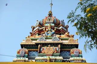 http://nithyananda.org/sites/default/files/photo-gallery/2018-01-Jan-17-nithyananda-diary_bengaluru-aadheenam_aadheenavasis-thiruvannamalai-trip_7T9A0898_0.jpg