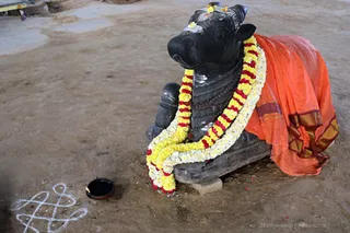http://nithyananda.org/sites/default/files/photo-gallery/2018-01-Jan-28-nithyananda-diary_bengaluru-aadheenam_temple-glimpses_7T9A4550.jpg