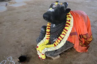 http://nithyananda.org/sites/default/files/photo-gallery/2018-01-Jan-28-nithyananda-diary_bengaluru-aadheenam_temple-glimpses_7T9A4551.jpg