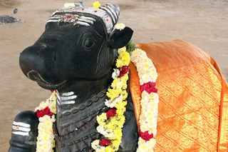 http://nithyananda.org/sites/default/files/photo-gallery/2018-01-Jan-30-nithyananda-diary_bengaluru-aadheenam_aadheenam-glimpses_7T9A4762.jpg