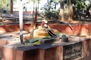 Photo 11715881