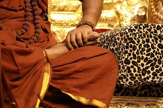 http://nithyananda.org/sites/default/files/photo-gallery/2018-02-Feb-11-nithyananda-diary_bengaluru-aadheenam_mahasadashivoham-continued_7T7A7314.JPG