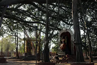 http://nithyananda.org/sites/default/files/photo-gallery/2018-02-Feb-22-nithyananda-diary_bengaluru-aadheenam_01-sadashiva-murthi-wax-moulding_7T9A9101.JPG