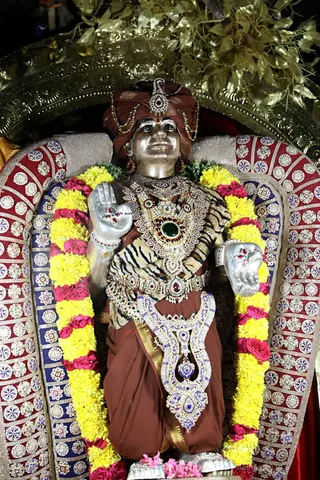 http://nithyananda.org/sites/default/files/photo-gallery/2018-02-Feb-24-nithyananda-diary_bengaluru-aadheenam_rajarajeshwari-brahmotsavam-day-4-procession_7T9A9171.JPG