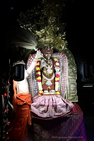 http://nithyananda.org/sites/default/files/photo-gallery/2018-02-Feb-25-nithyananda-rajarajeshwari-brahmotsavam-day-6_7T9A9317.JPG