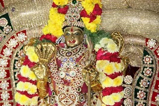 http://nithyananda.org/sites/default/files/photo-gallery/2018-02-Feb-28-nithyananda-diary_bengaluru-aadheenam_rajarajeshwari-brahmotsavam-procession-day-9IMG_0029.jpg