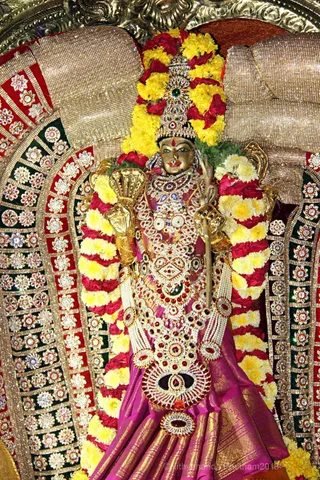 http://nithyananda.org/sites/default/files/photo-gallery/2018-02-Feb-28-nithyananda-diary_bengaluru-aadheenam_rajarajeshwari-brahmotsavam-procession-day-9IMG_0033.jpg