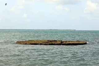 Photo 11716719