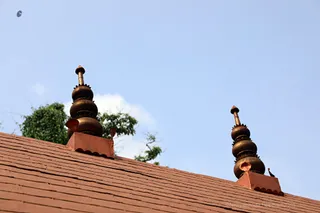 Photo 11716995