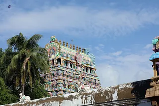 http://nithyananda.org/sites/default/files/photo-gallery/2018-05-May-15-nithyananda-diary_visit-thenpuriswarar-temple_7T7A6156.jpg