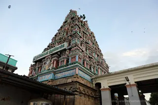 http://nithyananda.org/sites/default/files/photo-gallery/2018-05-May-15-nithyananda-diary_visit-uppiliappan-temple_7T9A3394_0.jpg