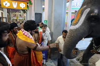 http://nithyananda.org/sites/default/files/photo-gallery/2018-05-May-15-nithyananda-diary_visit-uppiliappan-temple_7T9A3429_0.jpg