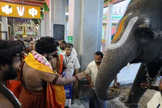 http://nithyananda.org/sites/default/files/photo-gallery/2018-05-May-15-nithyananda-diary_visit-uppiliappan-temple_7T9A3430_0.jpg