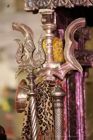 Photo 11717520