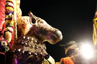 http://nithyananda.org/sites/default/files/photo-gallery/2018-05-May-28-nithyananda-diary_bengaluru-aadheenam_nithyananda-poornima_7T9A6360.jpg