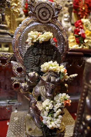 http://nithyananda.org/sites/default/files/photo-gallery/2018-05-May-31-nithyananda-diary_bengaluru-aadheenam_aanmartha-puja_7T9A6984.jpg