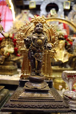 http://nithyananda.org/sites/default/files/photo-gallery/2018-05-May-31-nithyananda-diary_bengaluru-aadheenam_aanmartha-puja_7T9A6985.jpg