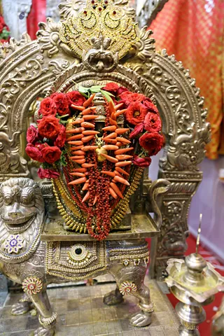 http://nithyananda.org/sites/default/files/photo-gallery/2018-05-May-31-nithyananda-diary_bengaluru-aadheenam_aanmartha-puja_7T9A6986.jpg