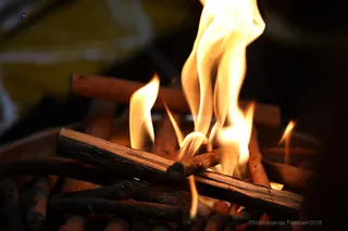 Photo 11717915