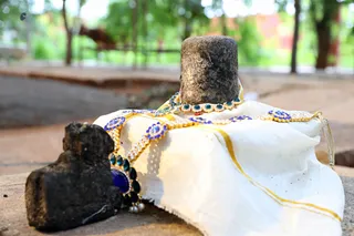 http://nithyananda.org/sites/default/files/photo-gallery/2018-06-Jun-23-nithyananda-diary_bengaluru-aadheenam_uttamotama-seva_7T9A9344.jpg