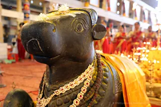http://nithyananda.org/sites/default/files/photo-gallery/2018-06-Jun-23-nithyananda-diary_bengaluru-aadheenam_uttamotama-seva_7T9A9358.jpg