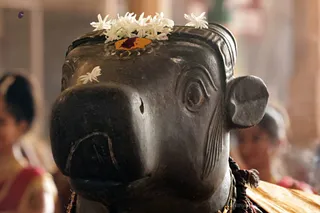 http://nithyananda.org/sites/default/files/photo-gallery/2018-06-Jun-24-nithyananda-diary_bengaluru-aadheenam_uttamotama-seva_7T7A1938.jpg
