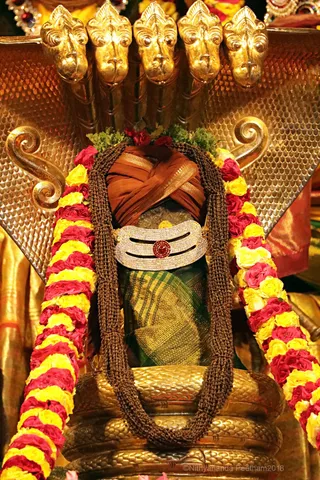 http://nithyananda.org/sites/default/files/photo-gallery/2018-06-Jun-25-nithyananda-diary_bengaluru-aadheenam_uttamotama-seva_7T7A2012.jpg