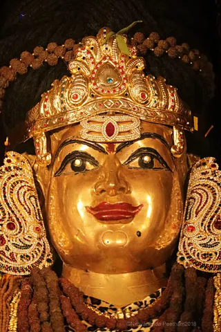 http://nithyananda.org/sites/default/files/photo-gallery/2018-06-Jun-26-nithyananda-diary_bengaluru-aadheenam_uttamotama-seva_7T7A2205.jpg