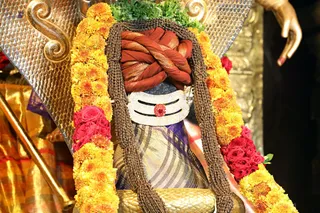 http://nithyananda.org/sites/default/files/photo-gallery/2018-06-Jun-30-nithyananda-diary_bengaluru-aadheenam_uttamotama-seva_7T9A9920.jpg