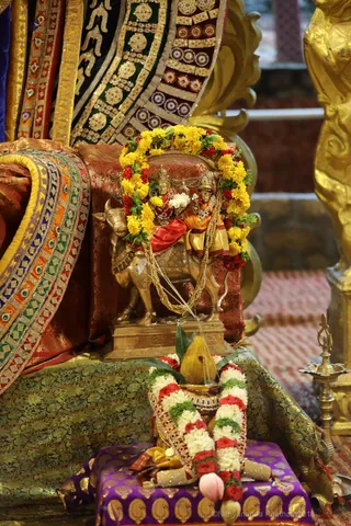 http://nithyananda.org/sites/default/files/photo-gallery/2018-08-Aug-nithyananda-diary_bengaluru-aadheenam_uttamotama-seva_7T9A0927.jpg