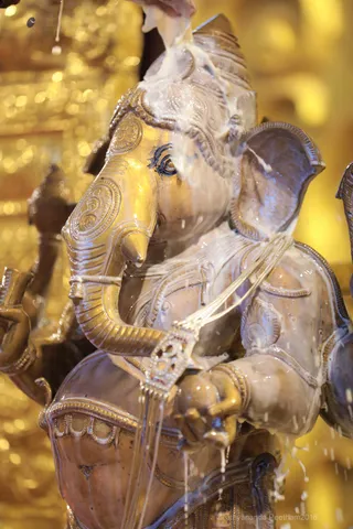 https://nithyananda.org/sites/default/files/photo-gallery/2018-08Aug-22-nithyananda-diary_bengaluru-aadheenam_uttamotama-seva-ganesha-abhishekam_7T9A2814.jpg?1536666908