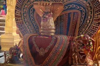 https://nithyananda.org/sites/default/files/photo-gallery/2018-08Aug-28-nithyananda-diary_bengaluru-aadheenam_shatru-samhara-trishati-homa_7T9A3184.jpg?1536672403