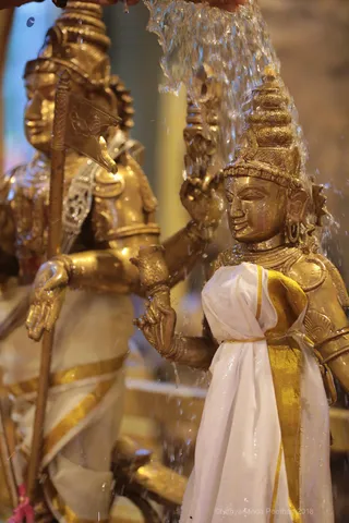 https://nithyananda.org/sites/default/files/photo-gallery/2018-08Aug-28-nithyananda-diary_bengaluru-aadheenam_uttamotama-seva-subramnya-abhishekam_7T9A2795.jpg?1536671689