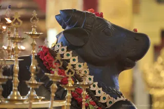 https://nithyananda.org/sites/default/files/photo-gallery/2018-08Aug-28-nithyananda-diary_bengaluru-aadheenam_uttamotama-seva-subramnya-abhishekam_7T9A2897.jpg?1536672080