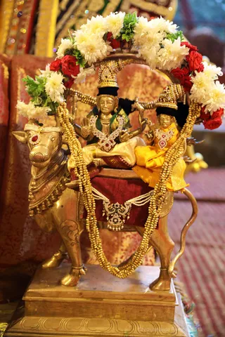 https://nithyananda.org/sites/default/files/photo-gallery/2018-08Aug-31-nithyananda-diary_bengaluru-aadheenam_uttamotama-seva-meenakshi-archana_7T9A3808.jpg?1536732931