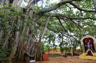 https://nithyananda.org/sites/default/files/photo-gallery/2018-08Aug-31-nithyananda-diary_bengaluru-aadheenam_uttamotama-seva-meenakshi-archana_7T9A4060.jpg?1536733428