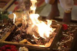 http://nithyananda.org/sites/default/files/photo-gallery/2018-09Sep-13-nithyananda-diary_bengaluru-aadheenam_uttamotama-seva_7T7A4036.JPG